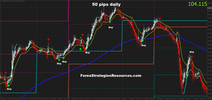 50 pips daily scalping