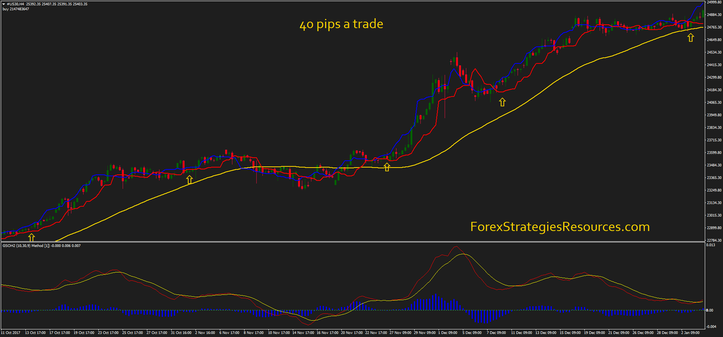 40 pips a trade