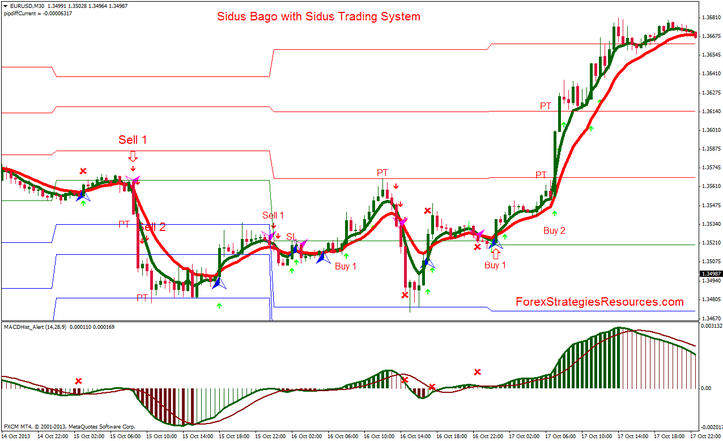 Sidus Bago with Sidus Trading System