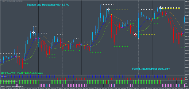 SEFC Trading