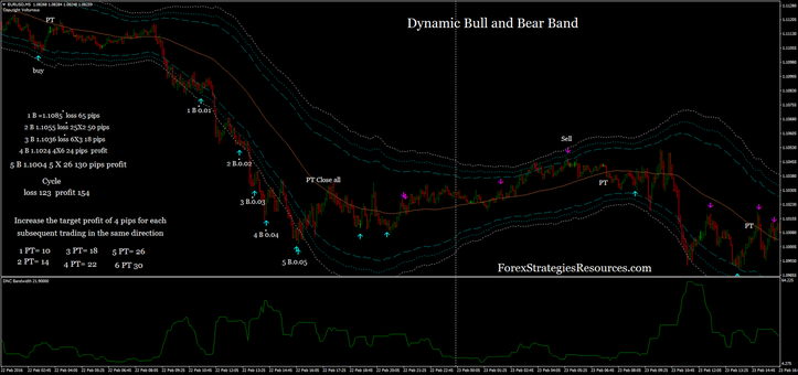 Dynamic Bull and Bear Band