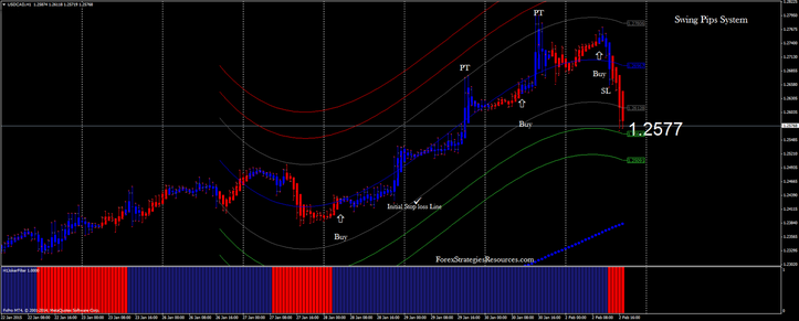 Swing Pips System