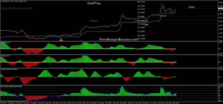 Gold Vein System USD/CAD 30 min time frame.