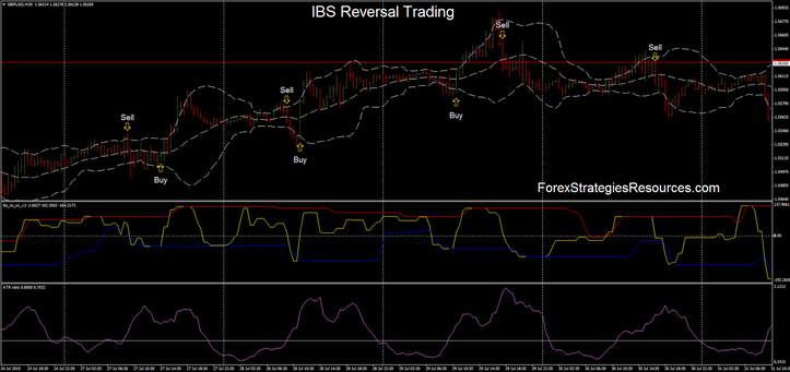 Ibs forex broker