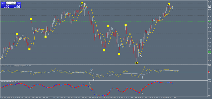 Projections  Future Forex System