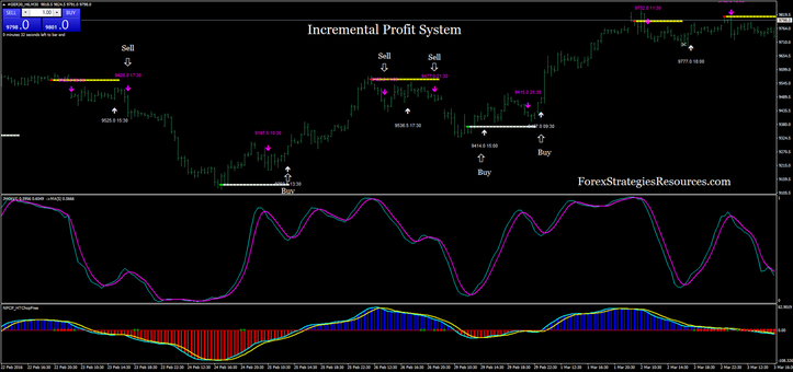  Incremental Profit System