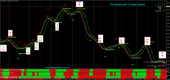 In the pictures The Snake with T3 clean system