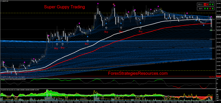 Super Guppy Trading 2