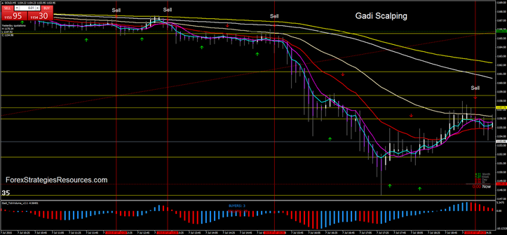  gadi scalping in action on the Gold.