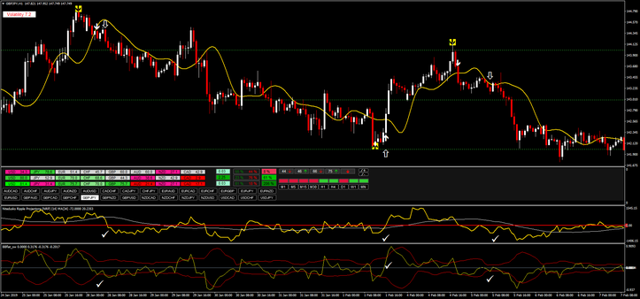 Projections Future Forex System