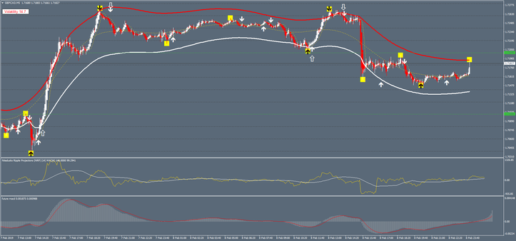 Projections Future Forex System