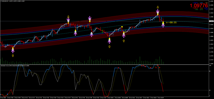  Binary Point Reversal