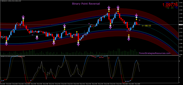  Binary Point Reversal