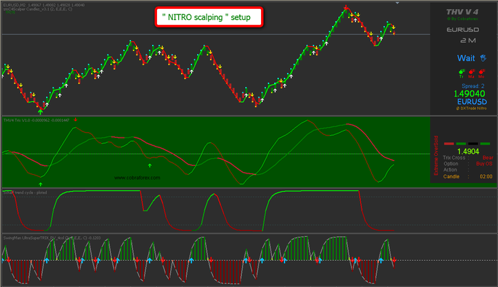 Renko Nitro momentum scalping