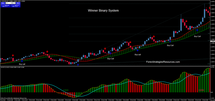 Winner Binary System ( EUR/USD 5 min time Frame)