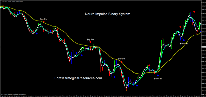  Neuro Impulse Binary System