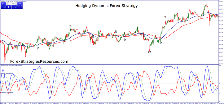 Hedging Dynamic Forex Strategy