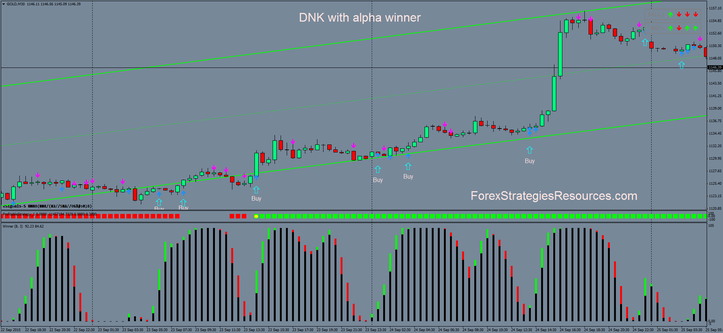 DNK with Alpha Winner