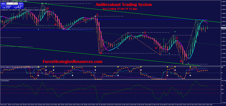 Antibreakout Trading System  Day Trading