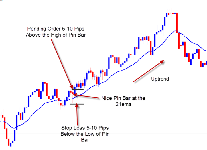 Pin Bar with Moving Average