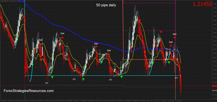 50 pips daily scalping