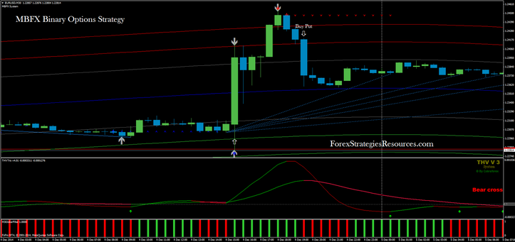 fork winning in binary option system