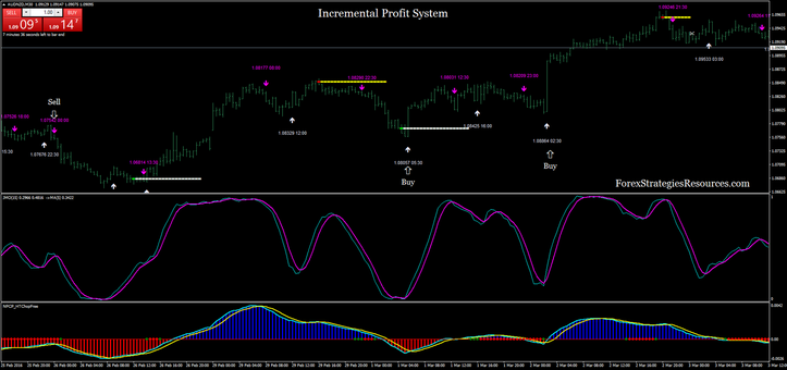  Incremental Profit System