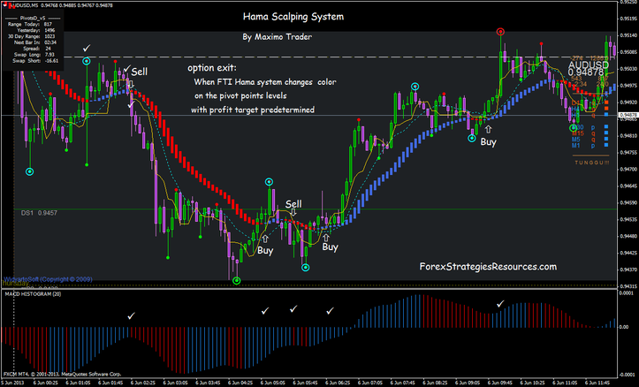 Hama Scalping System