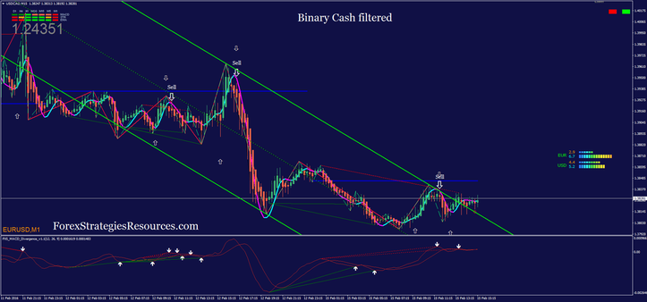 Binary Cash Filtered