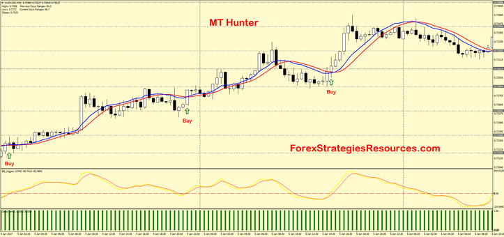  MT Hunter template MT4