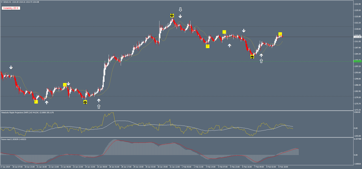 Projections Future Forex System