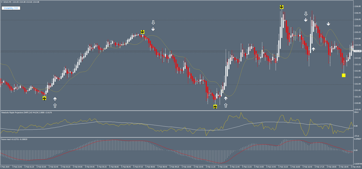 Projections Future Forex System