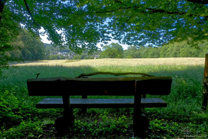 Blick auf Friedewald