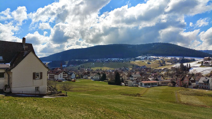 Типичная деревня в "Черном лесу" — Шварцвальде (Schwarzwald)