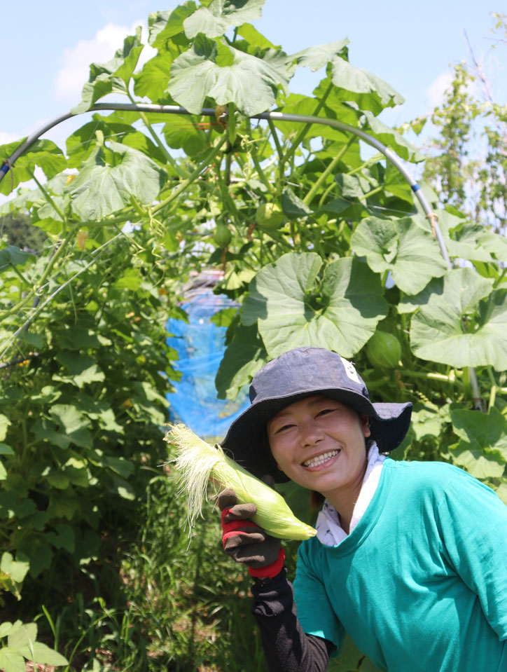 首都圏で自然農の野菜作りを学ぶ＠さとやま農学校