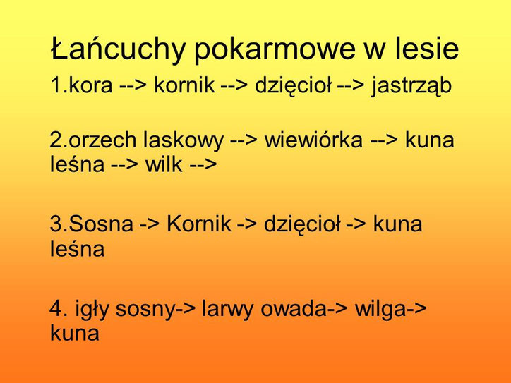 Przykłady łańcuchów Pokarmowych W Lesie WYSOKIE DRZEWA/KORONY DRZEW - zajecia3