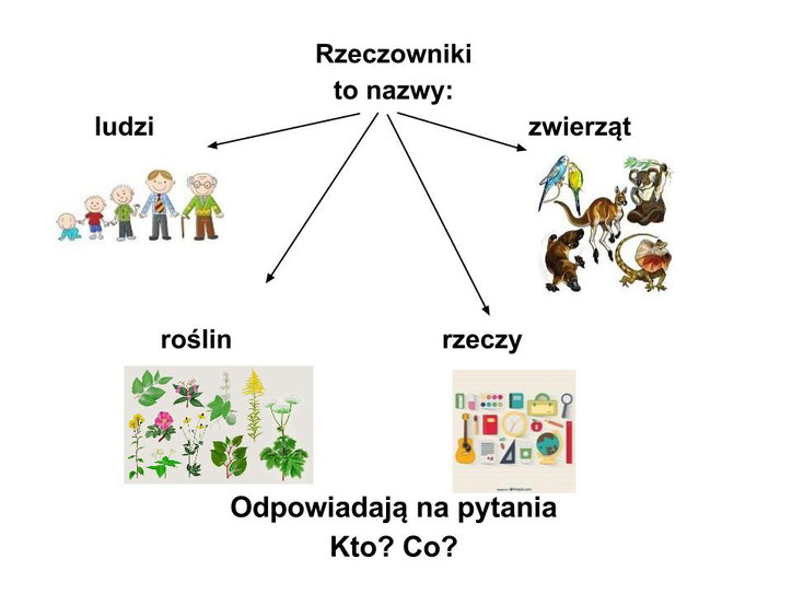Odczytaj Rzeczowniki Z Ogrodowych ścieżek RZECZOWNIKI - zajecia3