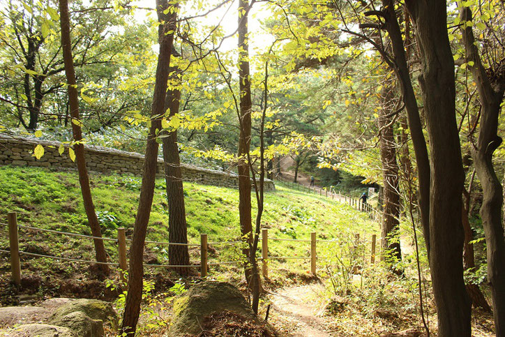 金井山城