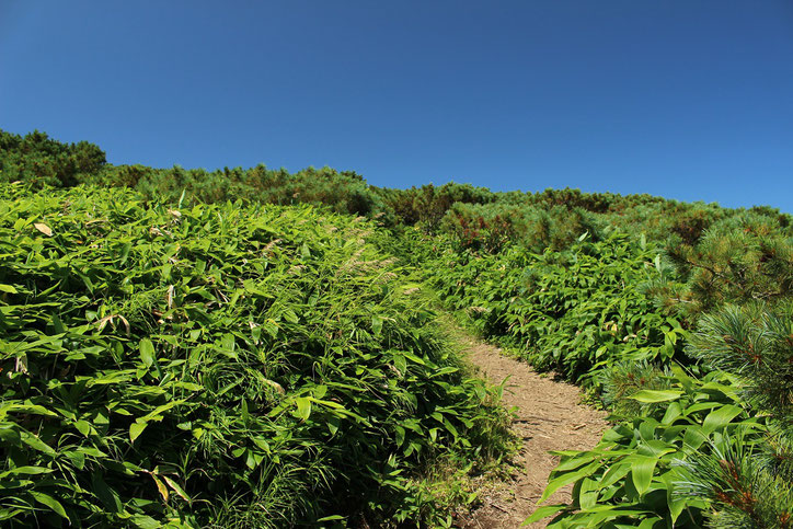 藻琴山