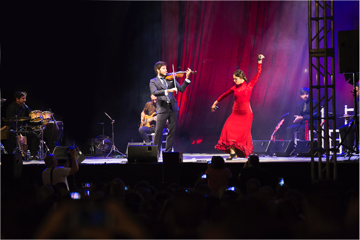 paco montalvo, violin, conciertos, flamenco,baile, bailaora