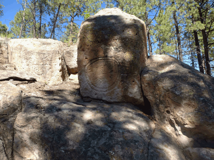 A rock outcrop with multiple petroglyphs. Three spotted birds are present on the sunlit rock face to the west, and a shield can be seen at the center of the photo.