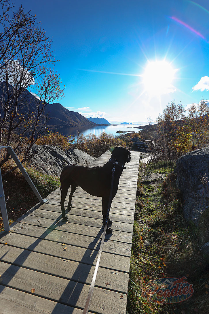 Ankunft Lofoten_Norwegen_Reisebericht_Die Roadies