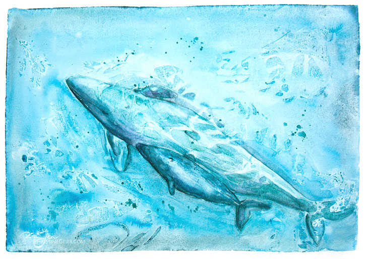 Delphine, dolphin, animal, sea, ocean, türkies, art, painting, illustration, Mutterliebe, motherslove, Aquarell, Kunst, Kunstwerk, Originale Kunst, Illustration