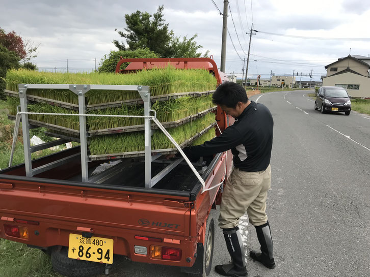 苗の積み込み