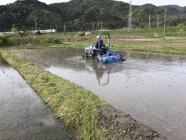 代掻き風景とサンダーバード