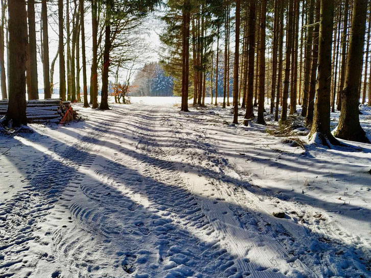Urlaub im Schnee im Winter