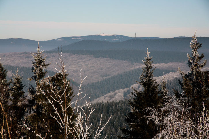Vom Ravensberg schaut man hinauf zum Oberharz und dem 1142 m hohen Brocken.