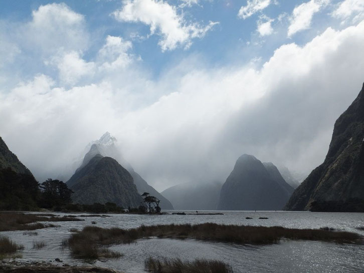 Zuvor tausendfach auf Bildern gesehen, doch mit den eigenen Augen eine umso größere Wucht- das achte Weltwunder: Milford Sound.