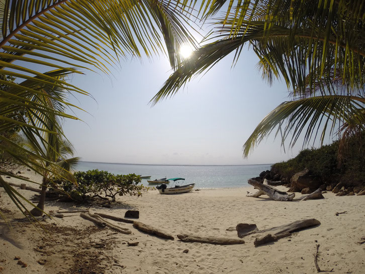 Isla Iguana