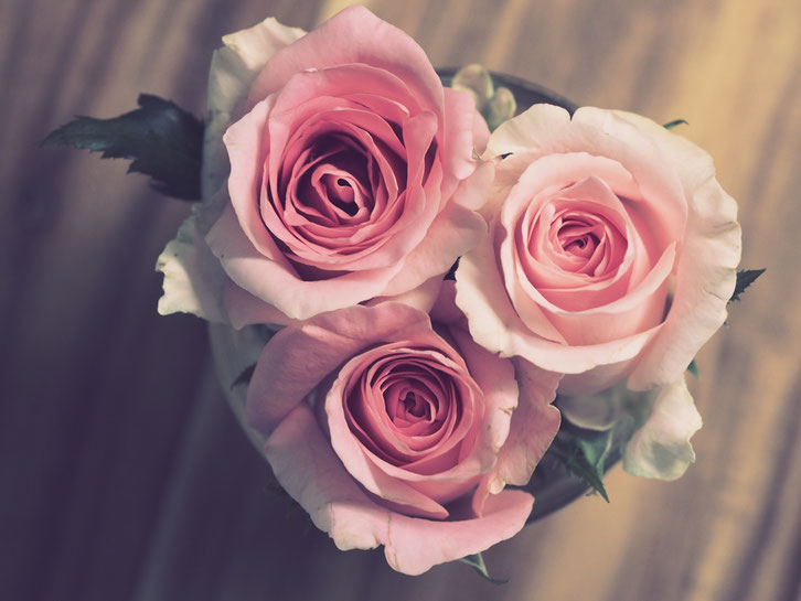 ROSE A CUORE. HEART ROSES. DIANA INSPIRATION. ESTHER DALLA VALLE COLLECTION